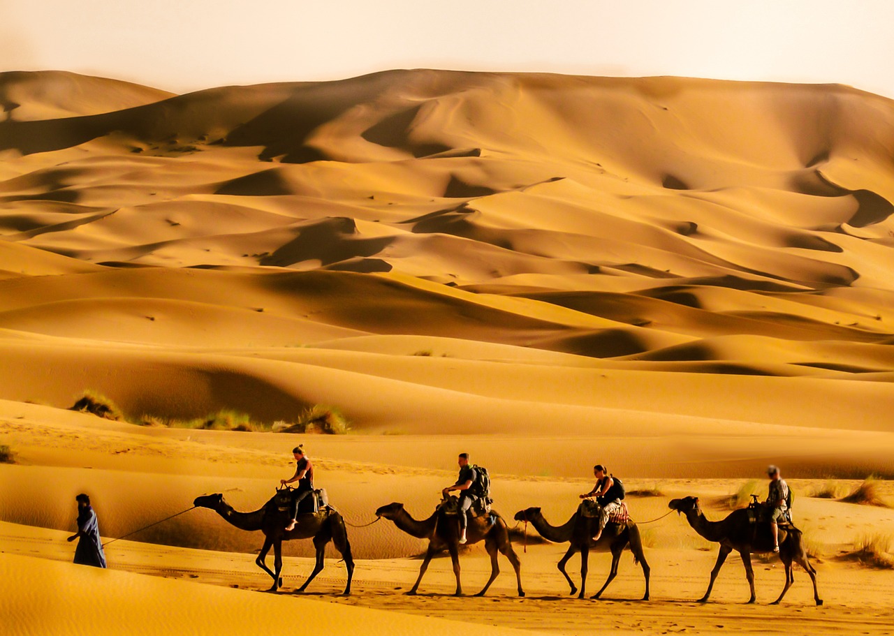 Aventura y Gastronomía en Riad